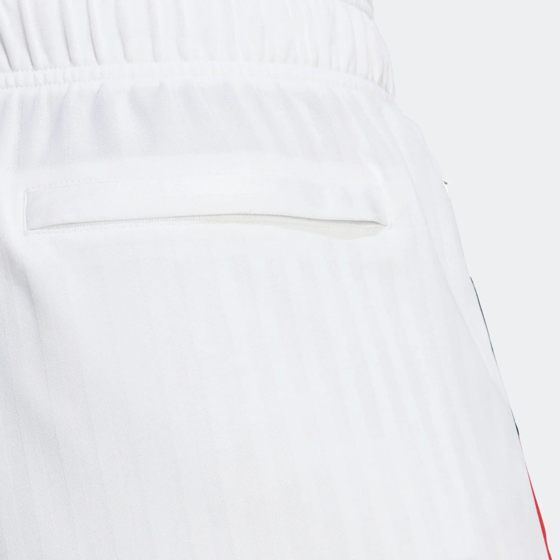 Shorts Flamengo 2023/24 Edição Icon